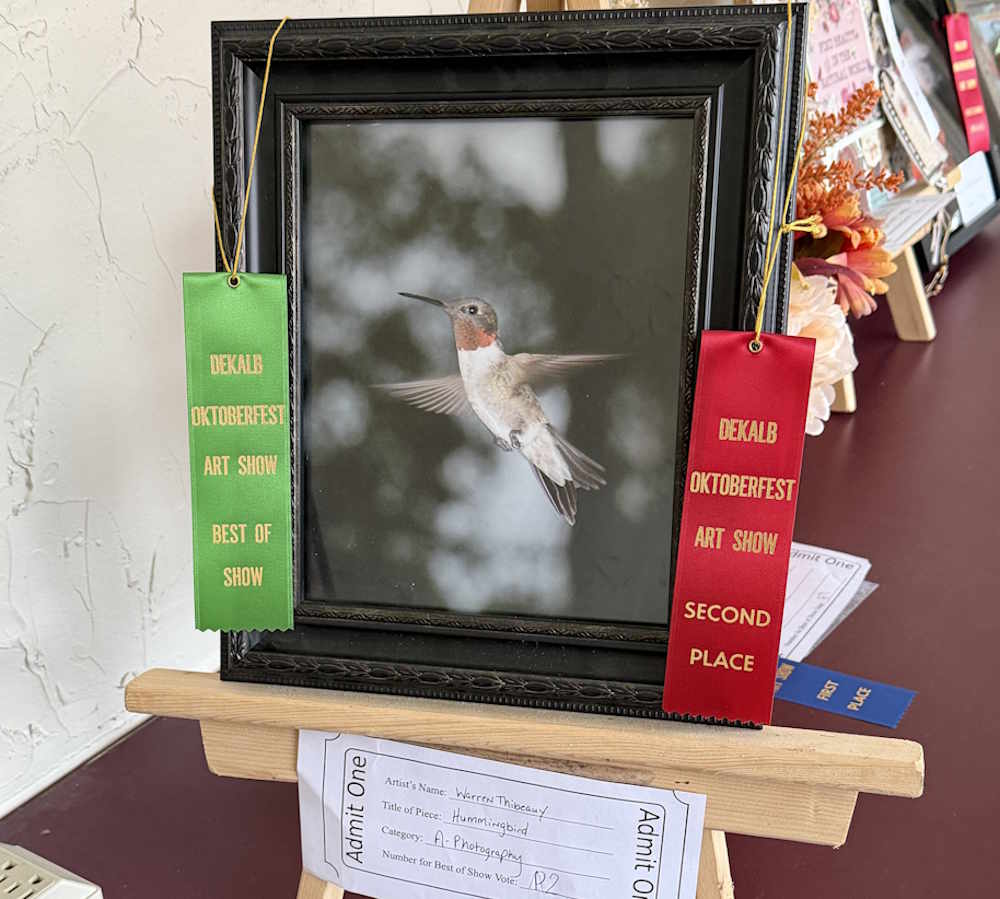 Best of Show - Adults